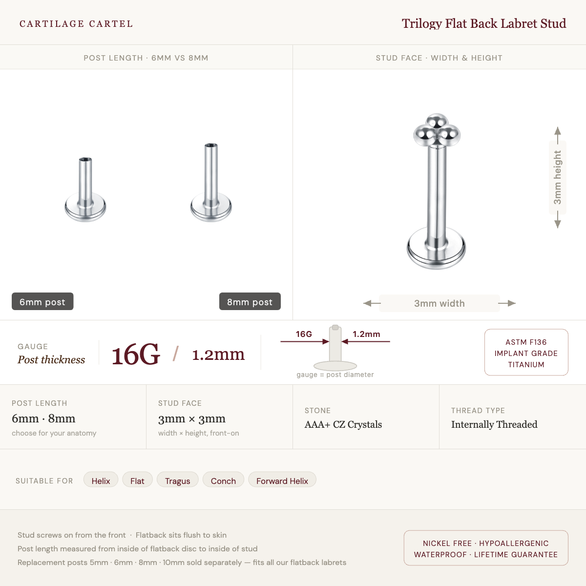 Trilogy Flat Back Labret Stud Gold