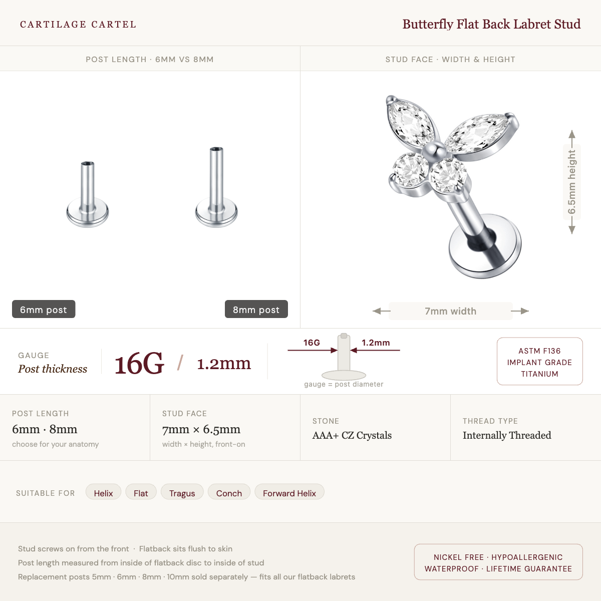 Butterfly Flat Back Labret Stud Silver