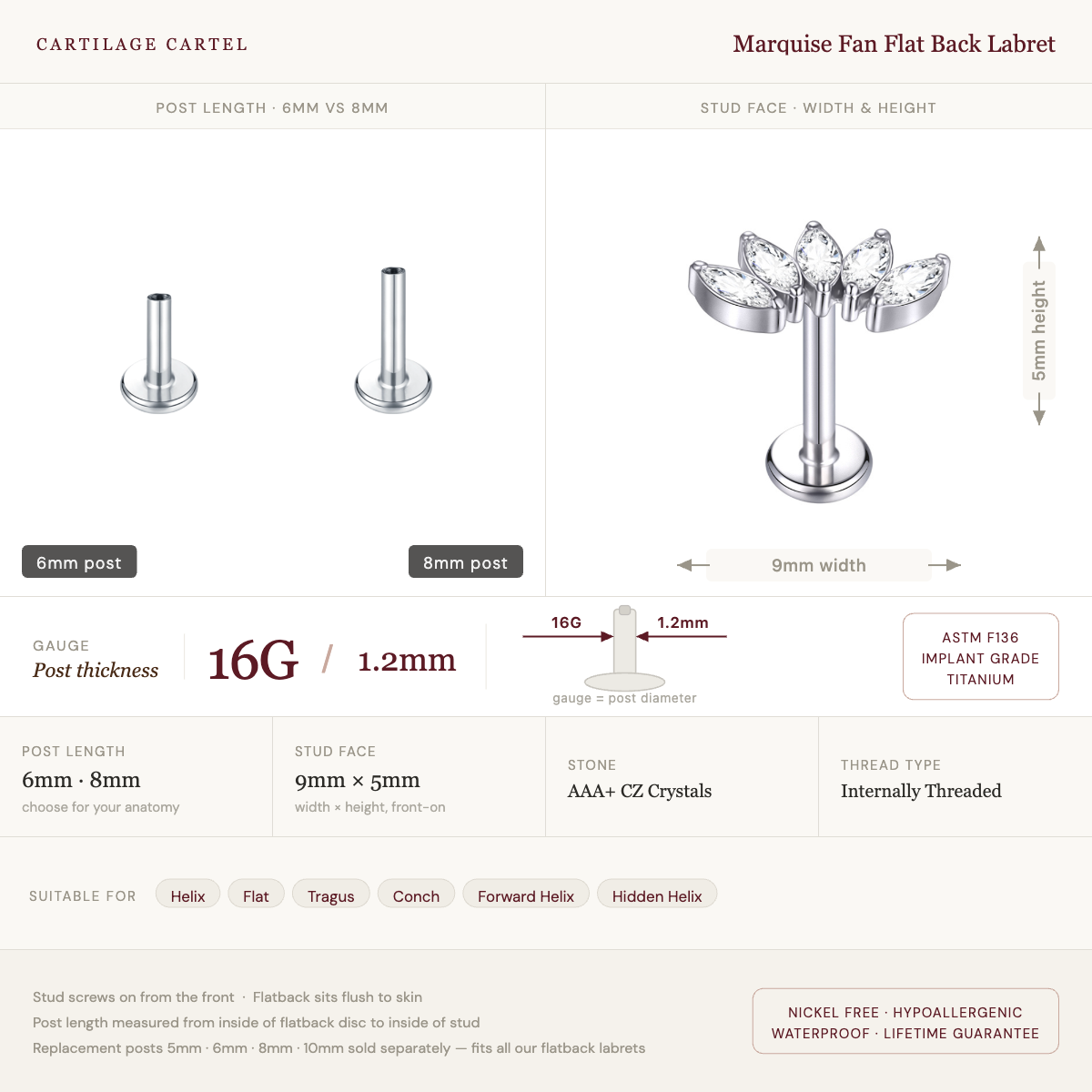 Marquise Fan Flat Back Labret Stud Gold